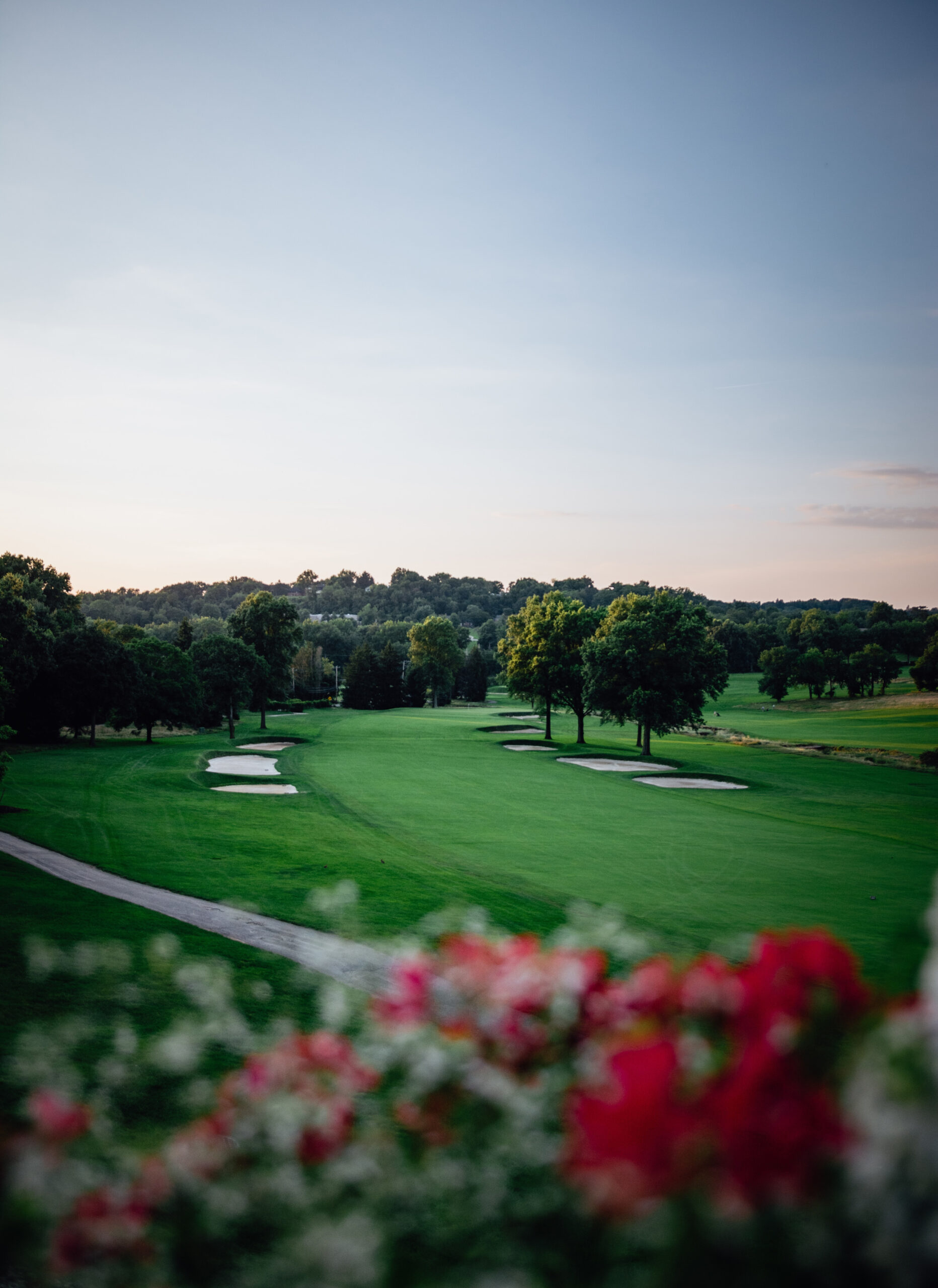 Photo of a golf course with red flowers blurred out below.